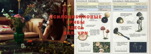 кокаин перу Балахна