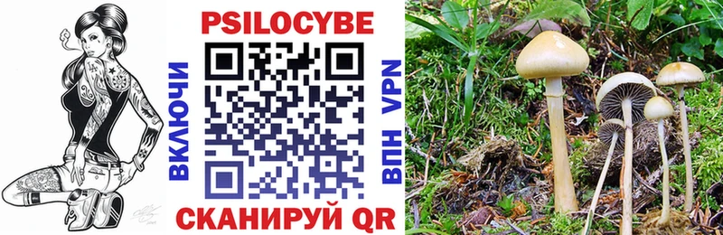 Галлюциногенные грибы Magic Shrooms  Гороховец 